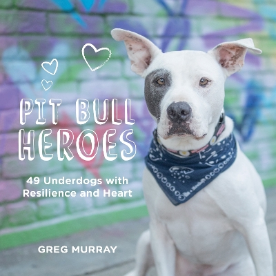Pit Bull Heroes: 49 Underdogs with Resilience and Heart - Murray, Greg (Photographer)