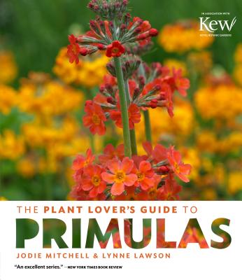 Plant Lover's Guide to Primulas - Mitchell, Jodie, and Lawson, Lynne