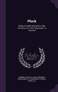 Pluck: Being a Faithful Narrative of the Fortunes of a Little "greenhorn" in America