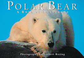 Polar Bear - Rosing, Norbert (Photographer)