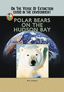 Polar Bears on the Hudson Bay