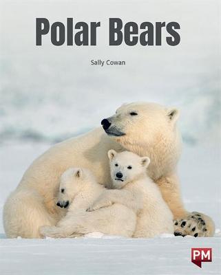 Polar Bears - Cowan, Sally