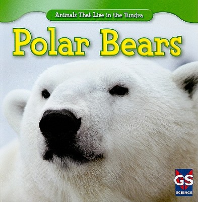 Polar Bears - Sisk, Maeve T