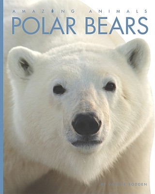 Polar Bears - Bodden, Valerie