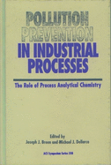 Pollution Prevention in Industrial Processes: The Role of Process Analytical Chemistry