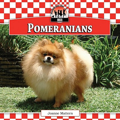 Pomeranians - Mattern, Joanne