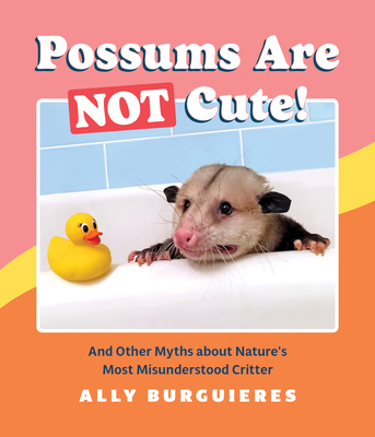Possums Are Not Cute!: And Other Myths about Nature's Most Misunderstood Critter - Burguieres, Ally