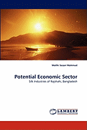 Potential Economic Sector