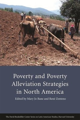Poverty and Poverty Alleviation Strategies in North America - Bane, Mary Jo (Editor), and Zenteno, Ren (Editor), and Danziger, Sandra K (Contributions by)