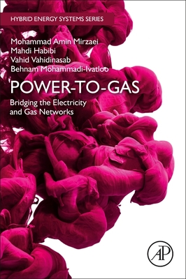 Power-to-Gas: Bridging the Electricity and Gas Networks - Mirzaei, Mohammad Amin, and Habibi, Mahdi, and Vahidinasab, Vahid