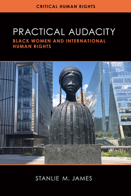 Practical Audacity: Black Women and International Human Rights - James, Stanlie M