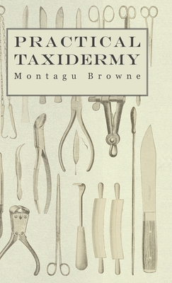 Practical Taxidermy - A Manual of Instruction to the Amateur in Collecting, Preserving, and Setting up Natural History Specimens of All Kinds. To Which is Added a Chapter Upon the Pictorial Arrangement of Museums - Browne, Montagu