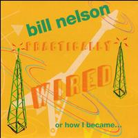 Practically Wired...Or How I Became Guitarboy - Bill Nelson