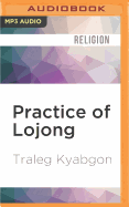 Practice of Lojong: Cultivating Compassion Through Training the Mind