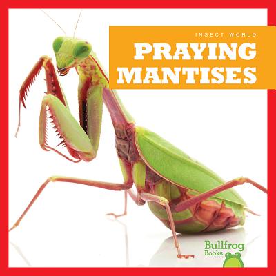 Praying Mantises - Schuh, Mari C