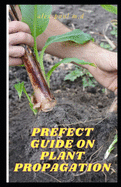 Prefect Guide on Plant Propagation: All Essential Thing You Need to Know about Plant Propagation