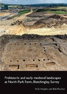 Prehistoric and early medieval landscapes at North Park Farm, Bletchingley, Surrey