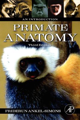 Primate Anatomy: An Introduction - Ankel-Simons, Friderun