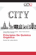 Principios De Qumica Orgnica