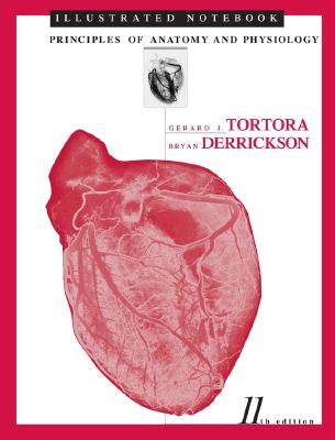 anatomy and physiology tortora pdf