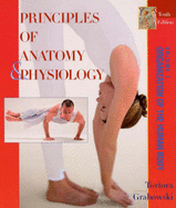 Principles of Anatomy and Physiology, Organization of the Human Body