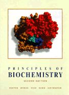 Principles of Biochemistry - Horton, H Robert, and Ochs, Raymond, and Moran, Laurence A