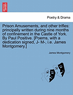 Prison Amusements, and Other Trifles: Principally Written During Nine Months of Confinement in the Castle of York. By Paul Positive