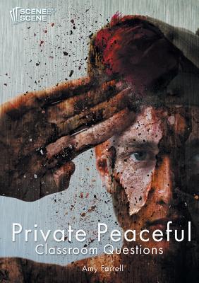 Private Peaceful Classroom Questions - Farrell, Amy, Professor