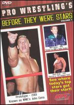 Pro Wrestling's Before They Were Stars, Vol. 1
