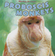 Proboscis Monkeys