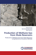 Production of Methane Gas from Shale Reservoirs