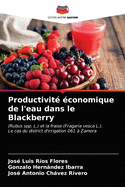 Productivit? ?conomique de l'eau dans le Blackberry