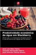 Produtividade econmica da gua em Blackberry