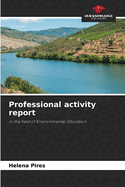 Professional activity report