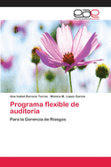 Programa flexible de auditora