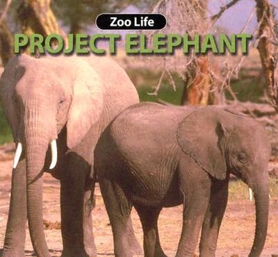 Project Elephant - Ring, Susan