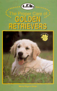 Proper Care Golden Retrievers