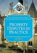 Property Disputes in Practice