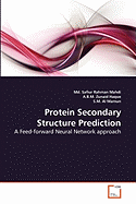 Protein Secondary Structure Prediction