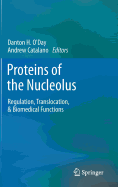 Proteins of the Nucleolus: Regulation, Translocation, & Biomedical Functions