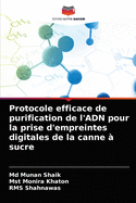 Protocole efficace de purification de l'ADN pour la prise d'empreintes digitales de la canne ? sucre