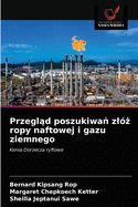 Przeglad poszukiwan zloz ropy naftowej i gazu ziemnego