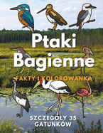 Ptaki bagienne: Fakty i Kolorowanka: dla dzieci w wieku od 2 do 16 lat