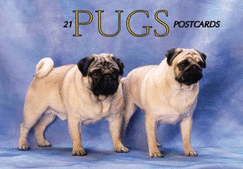 Pugs Postcard Book