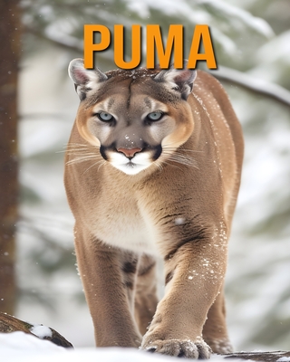 Puma: Das wesentliche Handbuch ?ber diese erstaunlichen Tiere mit tollen Fotos - Vane, Isla