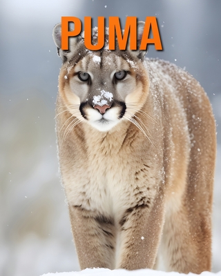 Puma: Des Informations et des Images Amusantes et Int?ressantes concernant les Puma - Hawthorn, Raine