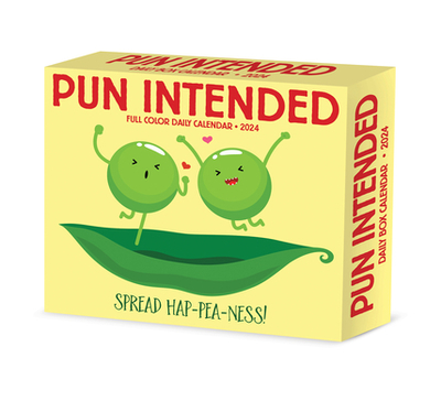 Pun Intended 2024 6.2" X 5.4" Box Calendar - Willow Creek Press