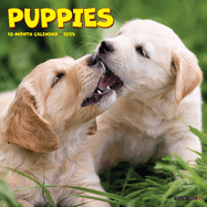 Puppies 2026 7 X 7 Mini Wall Calendar