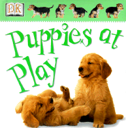 Puppies at Play