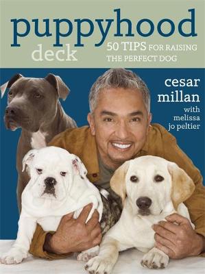 Puppyhood Deck: 50 tips for raising the perfect dog - Millan, Cesar